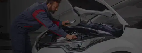 Trained experts at your service